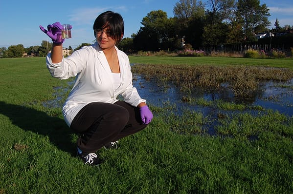 amanda ecology and community
