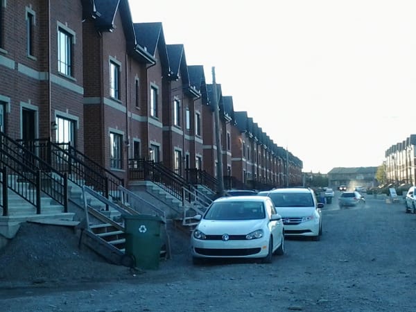 This photo was taken during the summer.